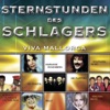 Großer Bruder