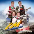 Die Zillertaler Musikanten