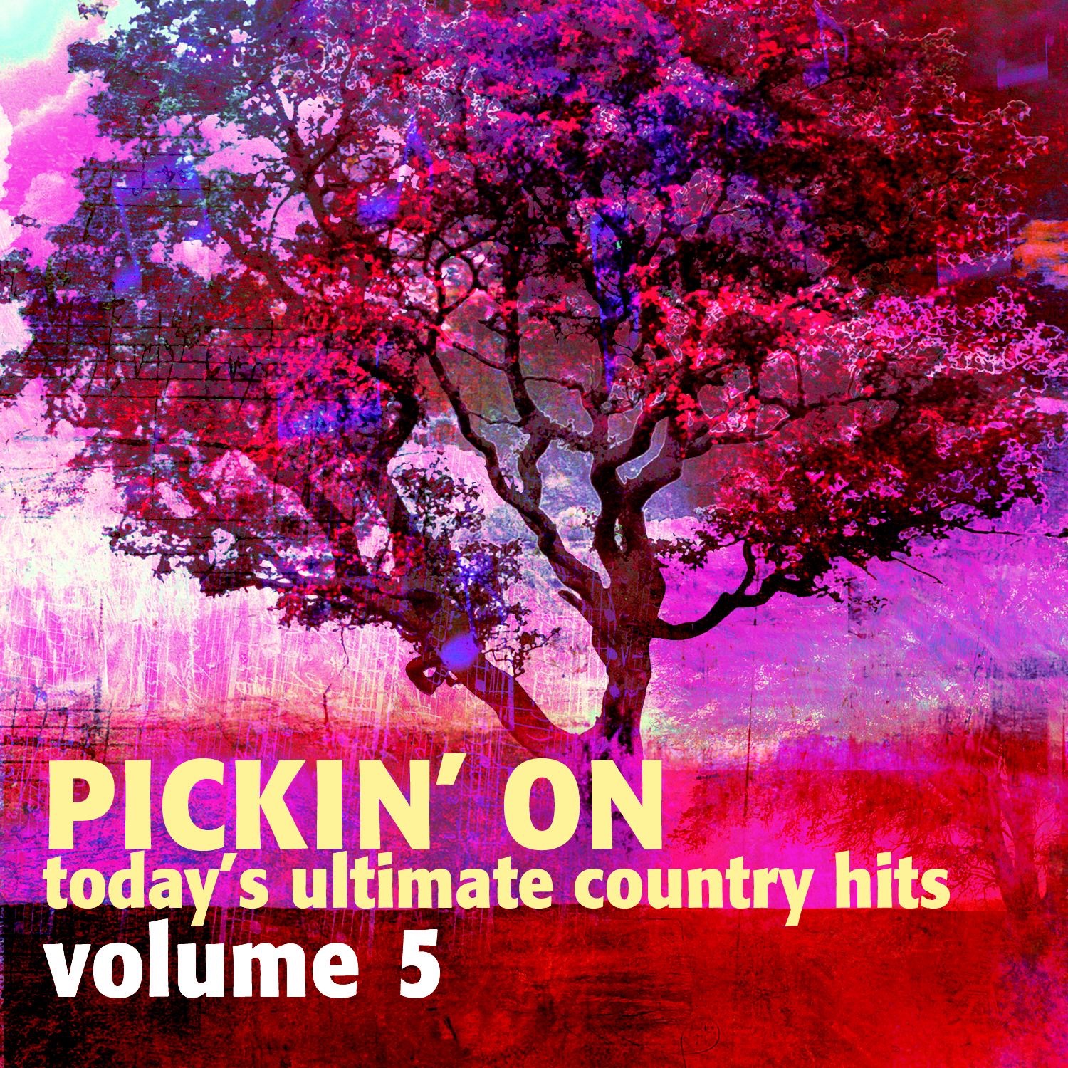 Pickin' On Today's Ultimate Country Hits, V*l. 5