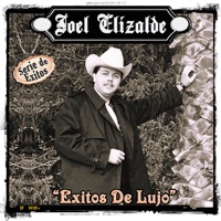Serie de Exitos: Joel Elizalde - Simplemente Exitos, Vol. 2 - Joel Elizalde