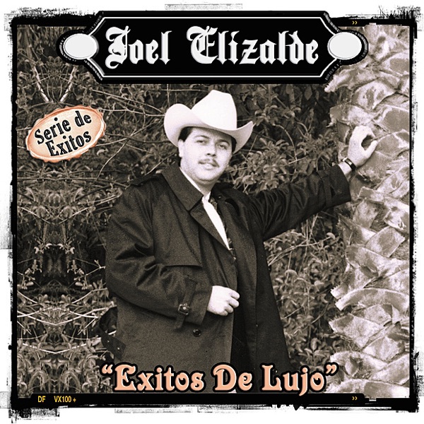 Serie de Exitos: Joel Elizalde - Simplemente Exitos, Vol. 2