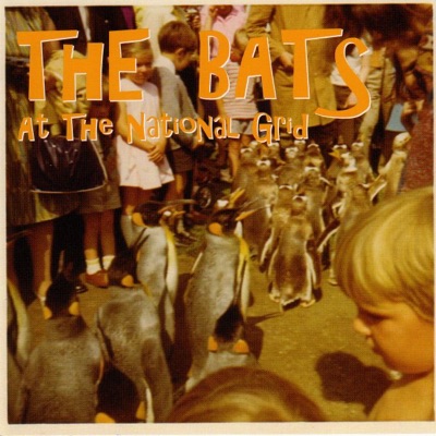 The Rays