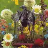 The Summer of Love
