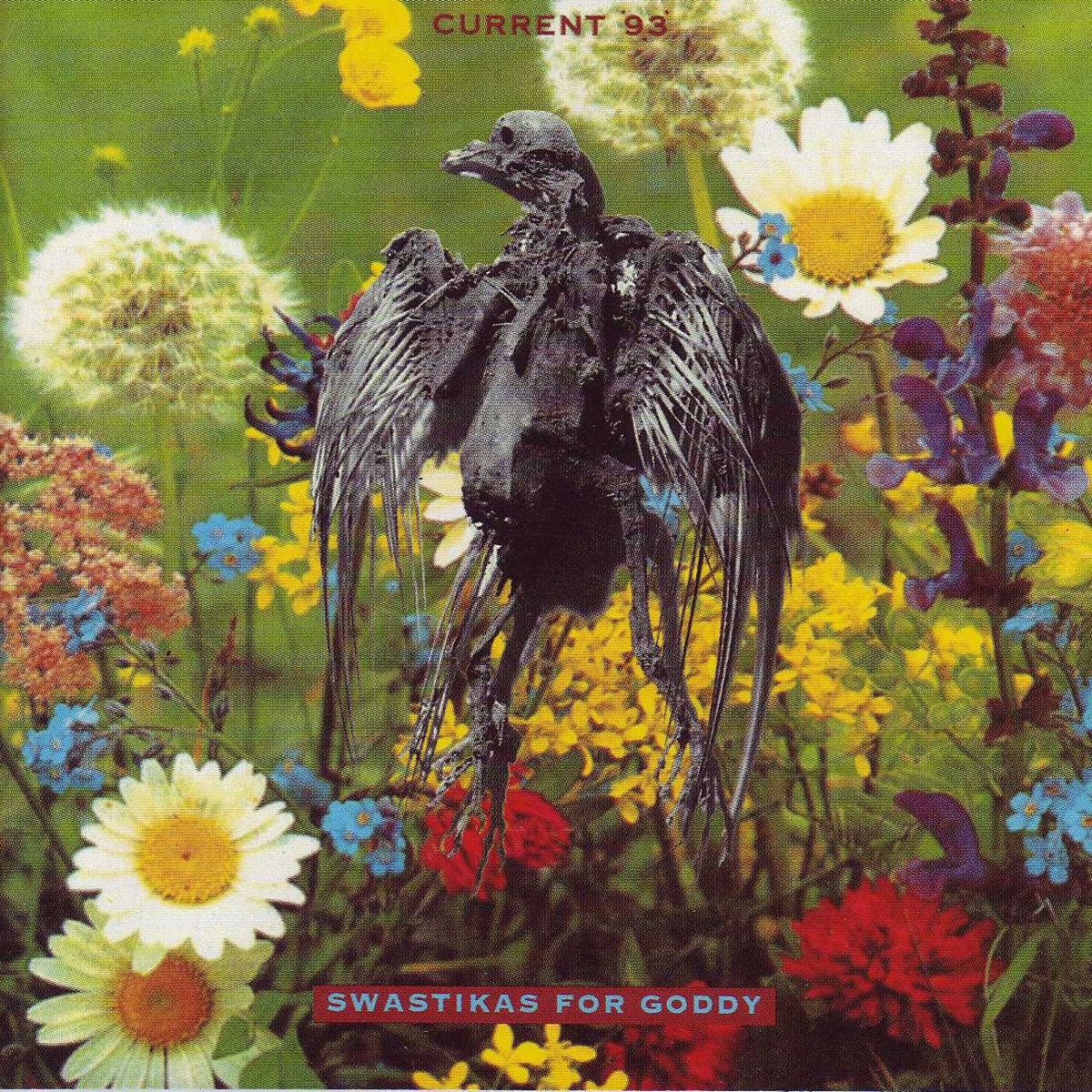Swastikas for Goddy cover