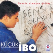 Sensiz Olmuyor Gülüm artwork