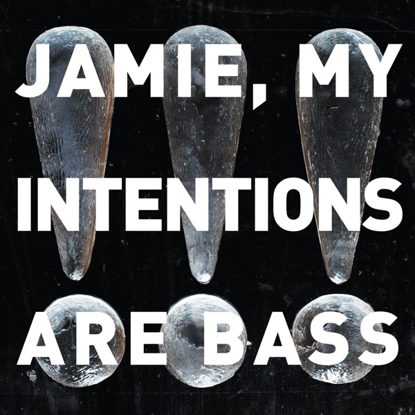 Jamie, My Intentions Are Bass - !!!