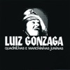 Luiz Gonzaga - Piriri