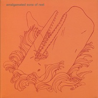 Amalgamated Sons Of Rest - Amalgamated Sons Of Rest, Will Oldham, Jason Molina & Alasdair Roberts