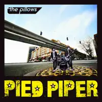 Purple Apple — the pillows