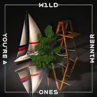 You're a Winner — Wild Ones