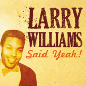 Slow Down - Larry Williams