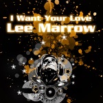 I Want Your Love
