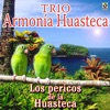 Los Pericos de la Husteca