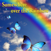 Somewhere over the Rainbow (Radio Version) - Butterfly