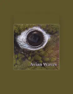 Avian Wavesを聴いたり、ミュージックビデオを鑑賞したり、経歴やツアー日程などを確認したりしましょう！