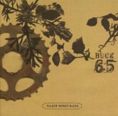 Buck 65 - Wicked and Weird