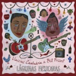 Bill Frisell & Vinícius Cantuária - Lagrimas Mexicanas