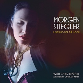 Dancing In the Dark (feat. Jay Ashby) Morgen Stiegler