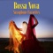 Rockstar - Bossa Nova Sax Players lyrics