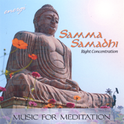 Samma Samadhi: Right Concentration - Energi
