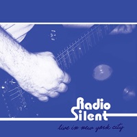Radio Silent Live - Terry Kestel, Mark Daterman, Radio Silent & Dave McGauley