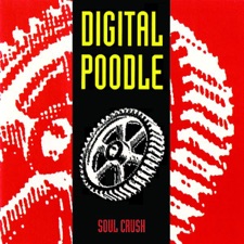 Digital Poodle - Work Terminal