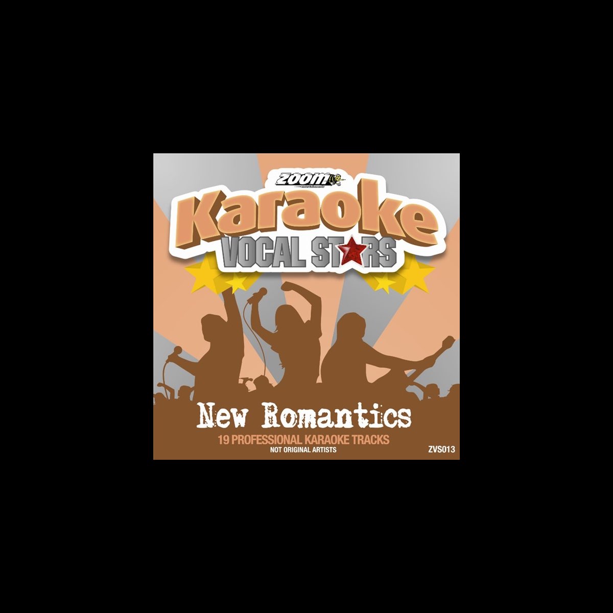 ‎Zoom Karaoke Vocal Stars New Romantics Album by Zoom Karaoke