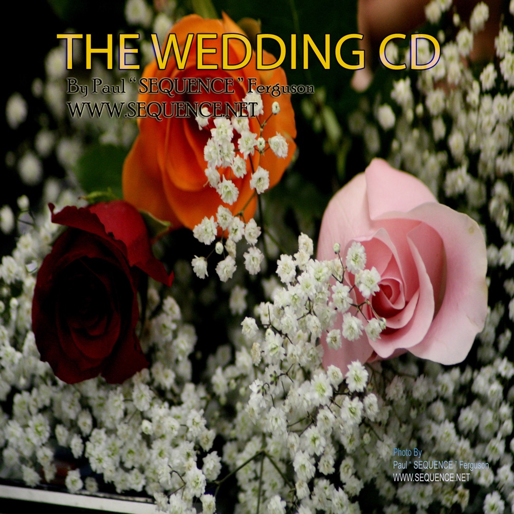 Обложка альбома «The Wedding CD» — Paul Sequence Ferguson