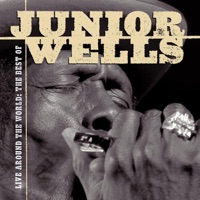 Live Around the World - The Best of Junior Wells (Live) - Junior Wells