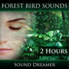 Forest Bird Sounds (2 Hours) - Sound Dreamer