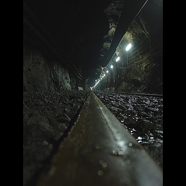 In the Basement