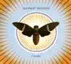 Hazmat Modine, Natalie Merchant & The Gangbe Brass Band - Child of a Blind Man