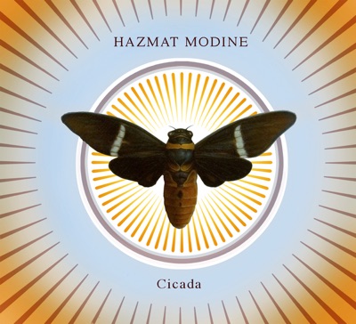 Cicada