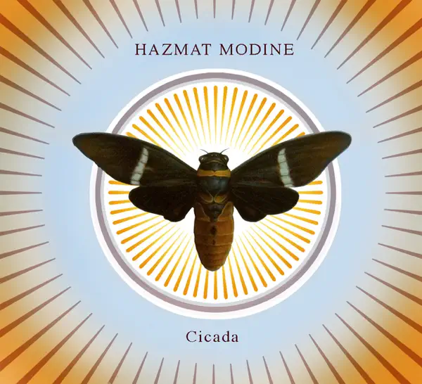 Child of a Blind Man — Hazmat Modine, Natalie Merchant & The Gangbe Brass Band
