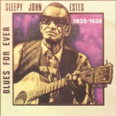 Sleepy John Estes - Down south blues