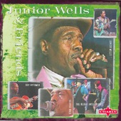 Junior Wells - My Younger Days