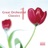 Violin Concerto in D Major, Op. 61: III. Rondo: Allegro