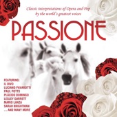 Una Furtiva Lagrima from L'elisir D'amore (Vocal) artwork