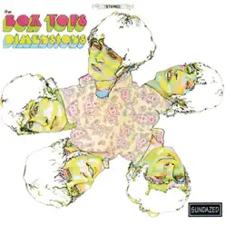 Dimensions - The Box Tops