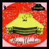 Homelife - Flying Wonders
