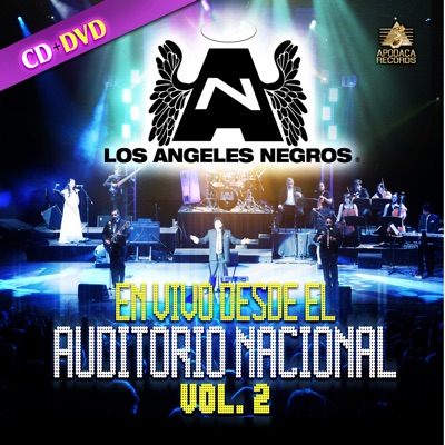Los Ángeles Negros