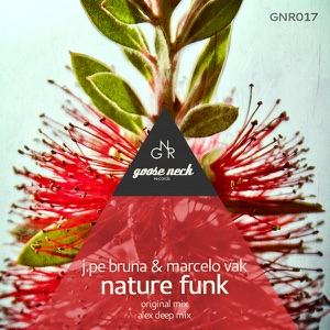 Nature Funk - Single