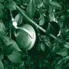 Headphone silence (Henrik Schwarz Remix)