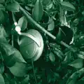 Headphone silence (Henrik Schwarz Remix)