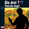 Folge 137: Pfad der Angst - Die drei ???