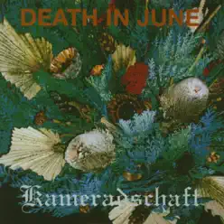 Kameradschaft - Death In June