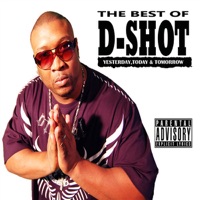 The Best of D-Shot: Yesterday, Today, & Tomorrow - D-Shot