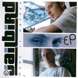 Shake (Remix) Jailbird