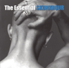 The Essential - Skunkhour new Single