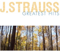 Johann Strauss Greatest Hits - Various Artists